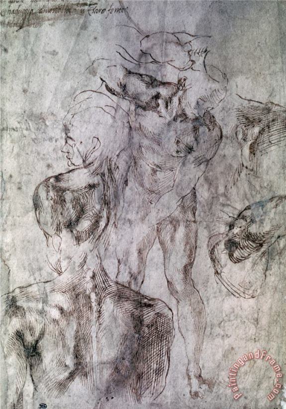 Michelangelo Buonarroti Various Studies Verso of Study for David Art Painting