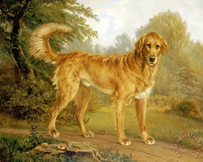 A Golden Retriever on a Path painting - Niels Aagaard Lytzen A Golden Retriever on a Path Art Print