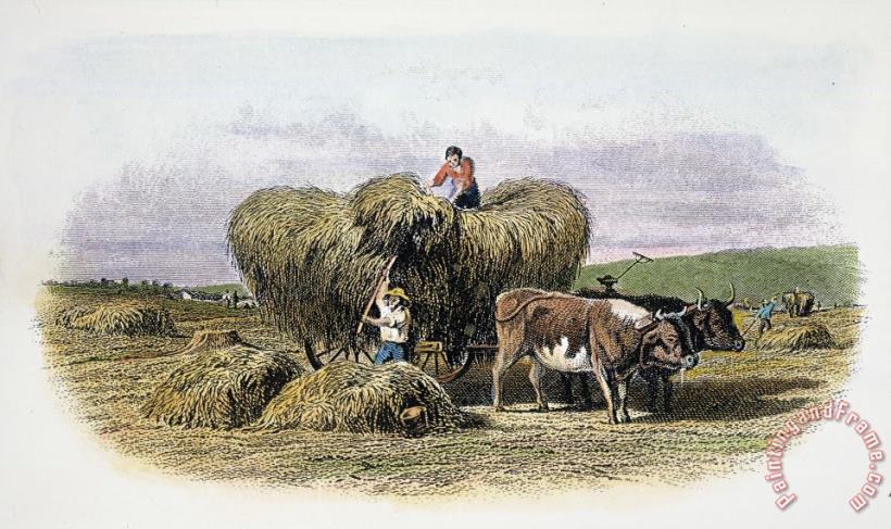 Others 19th CENTURY AMERICAN FARM Art Print