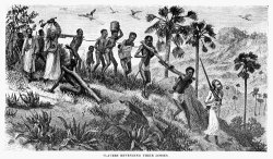 Others Africa: Slave Trade