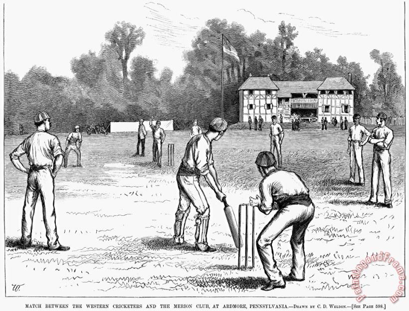 Others American Cricket, 1882 Art Painting