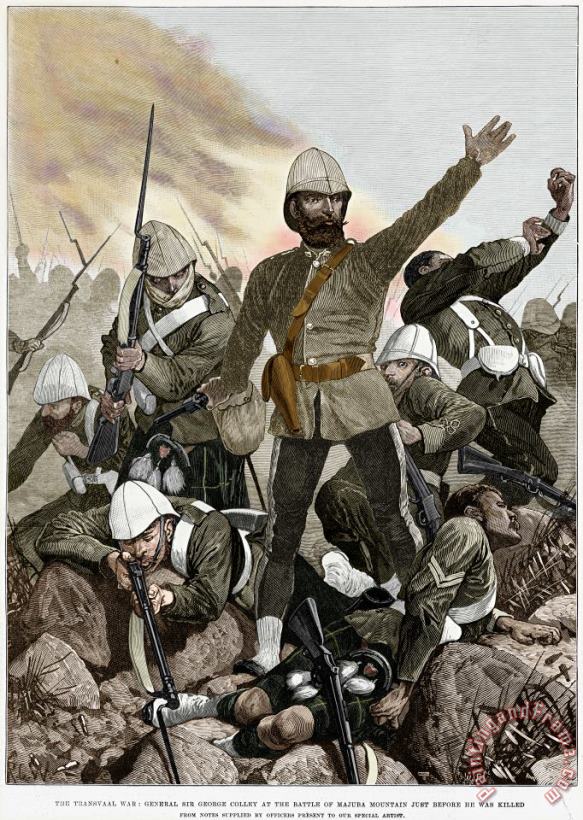 Others Battle Of Majuba, 1881 Art Print