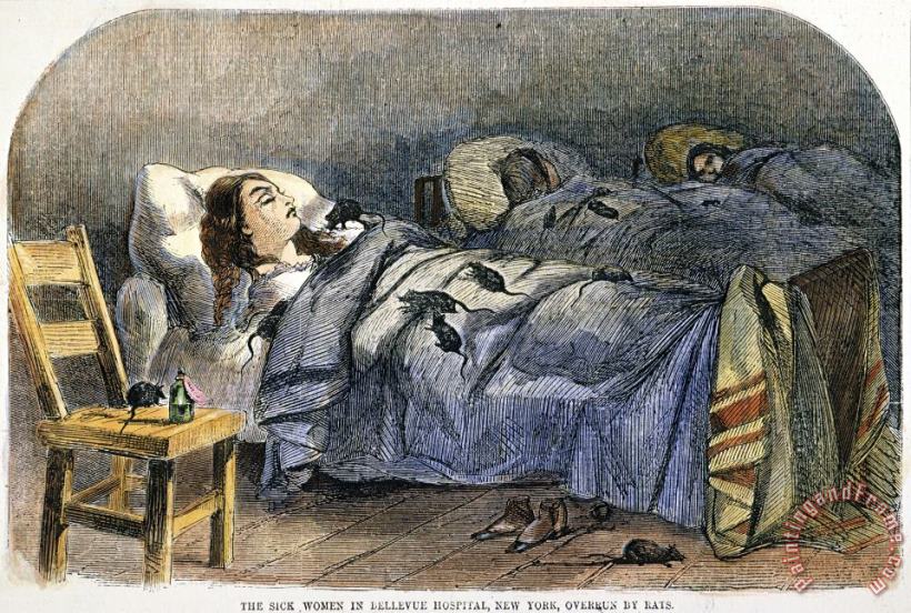 Bellevue Hospital, 1860 painting - Others Bellevue Hospital, 1860 Art Print