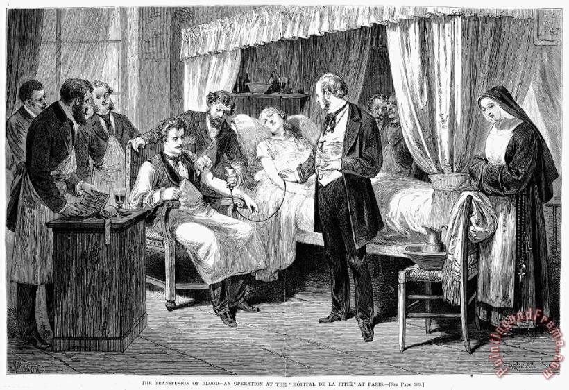Blood Transfusion, 1874 painting - Others Blood Transfusion, 1874 Art Print