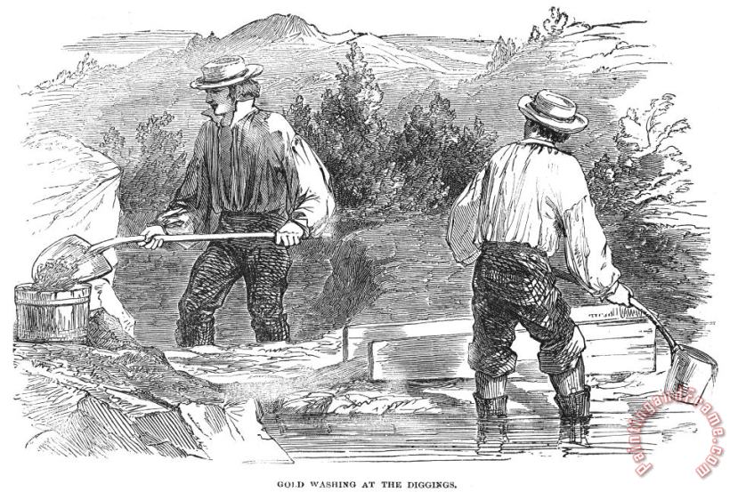 Others California Gold Rush, 1849 Art Print