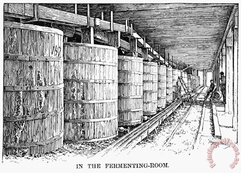 Others California: Winery, 1889 Art Print