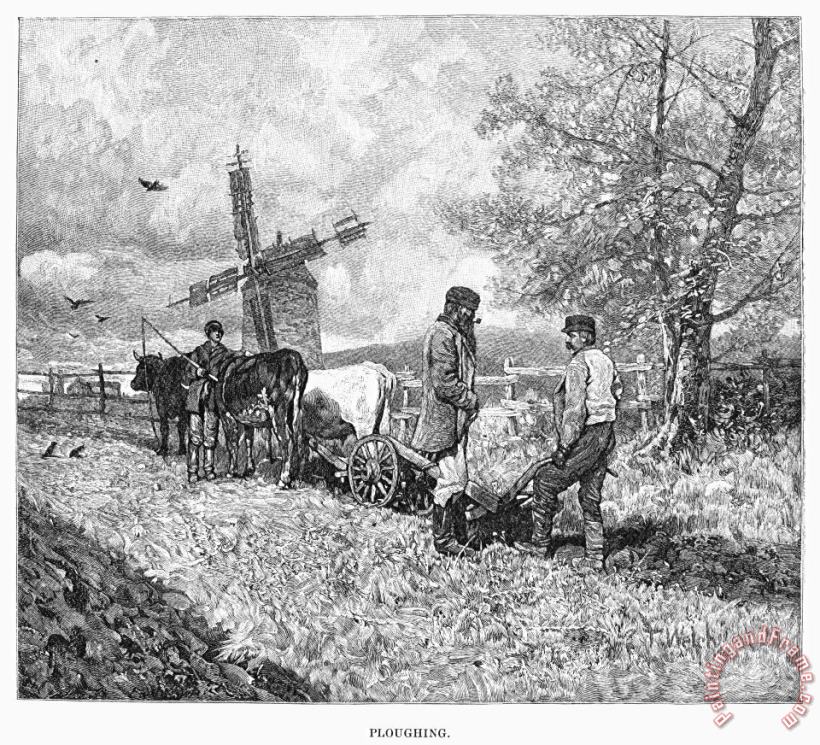 Others Canada: Farming, 1883 Art Print