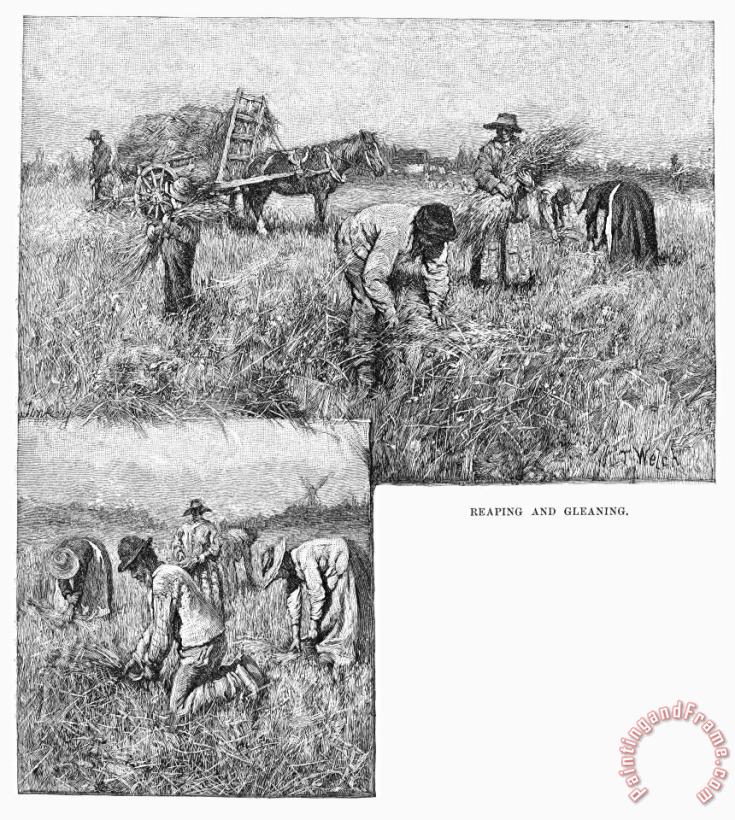 Canada: Farming, 1883 painting - Others Canada: Farming, 1883 Art Print