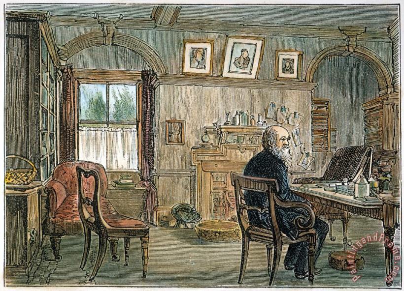 Others Charles Darwin (1809-1882) Art Print