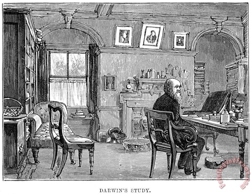 Others Charles Robert Darwin Art Print
