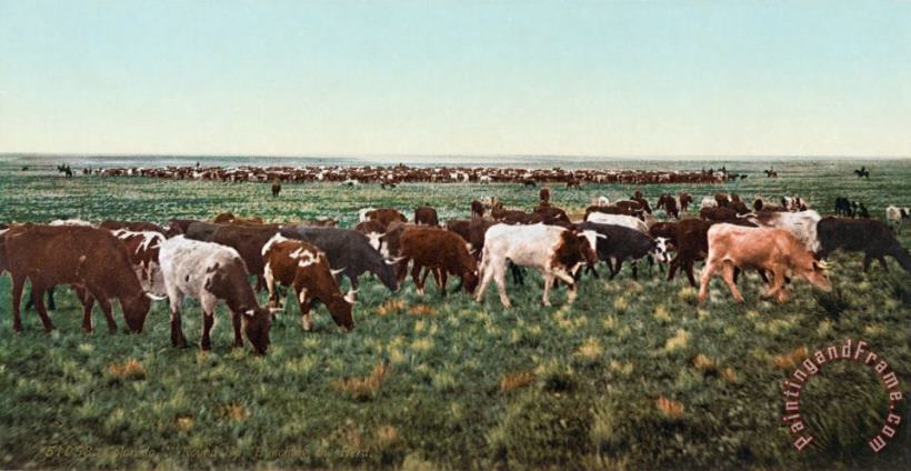 Others Colorado: Round Up Art Painting