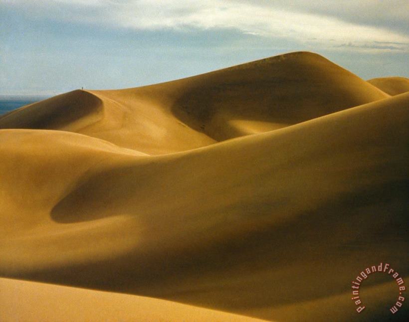 Colorado: Sand Dunes painting - Others Colorado: Sand Dunes Art Print