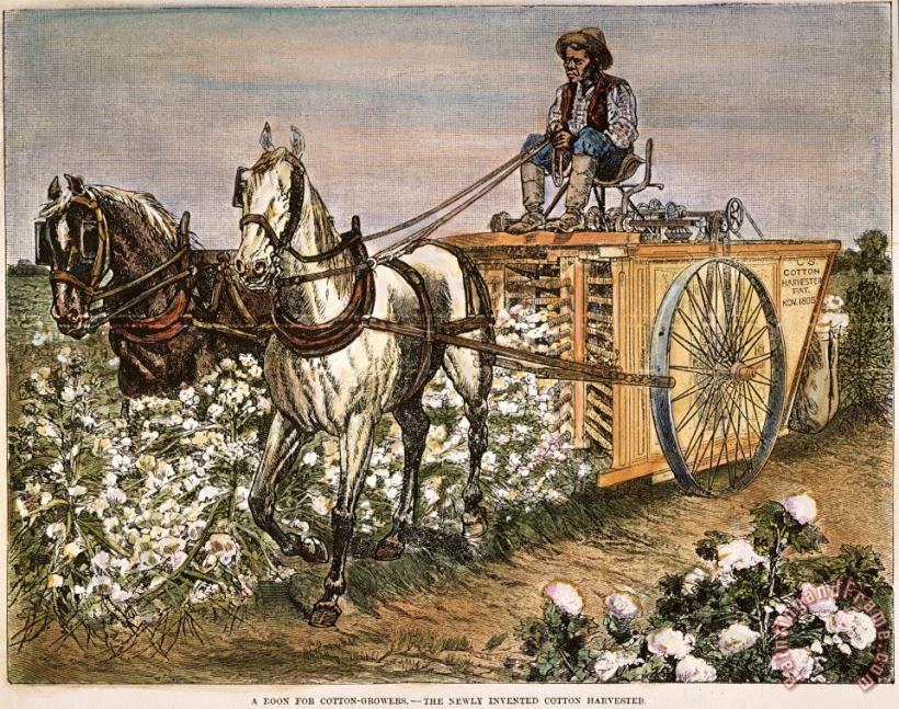 Cotton Harvester, 1886 painting - Others Cotton Harvester, 1886 Art Print