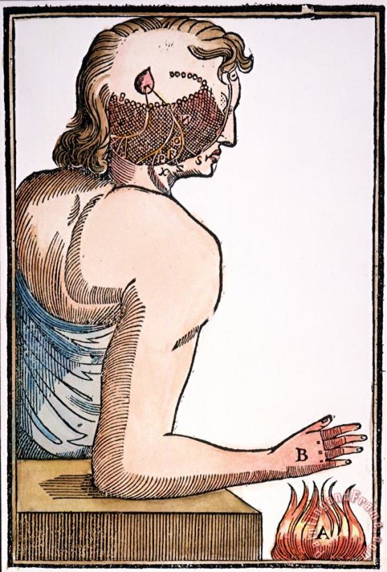 Descartes: Reflex, 1664 painting - Others Descartes: Reflex, 1664 Art Print