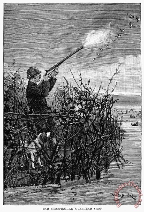 Duck Hunting, 1888 painting - Others Duck Hunting, 1888 Art Print