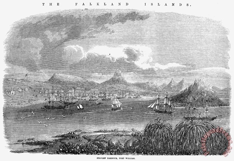 Others Falkland Islands, 1856 Art Print
