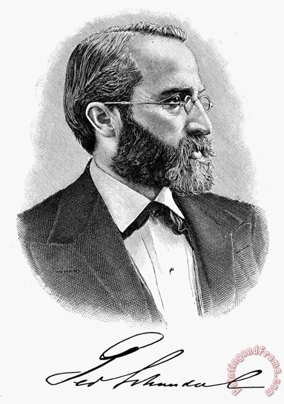 Fashion: Bearded Man, 1896 painting - Others Fashion: Bearded Man, 1896 Art Print