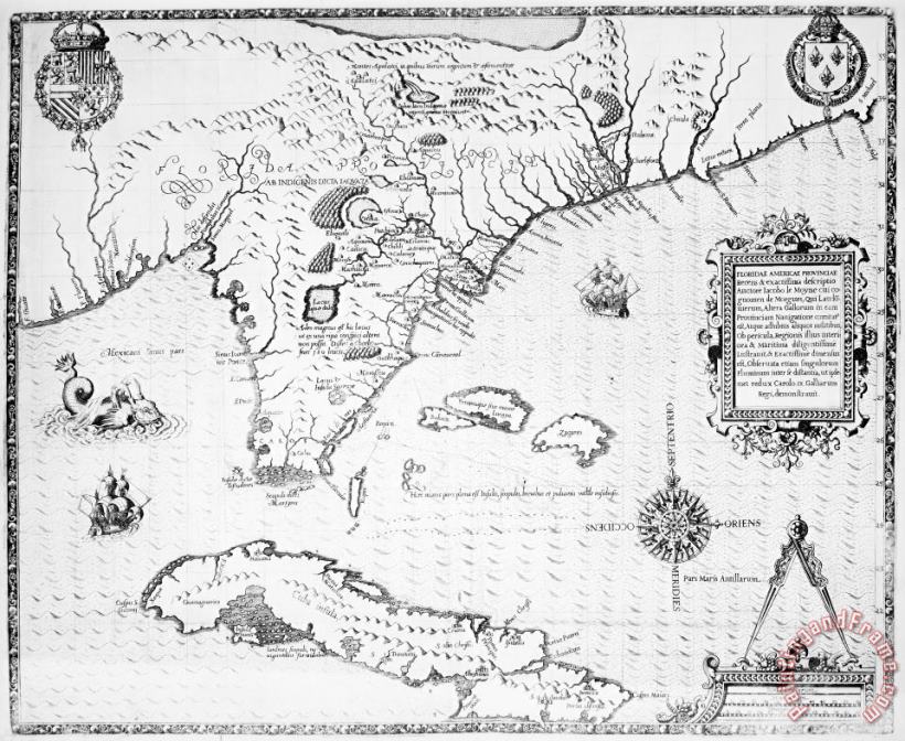 Florida: Map, 1591 painting - Others Florida: Map, 1591 Art Print
