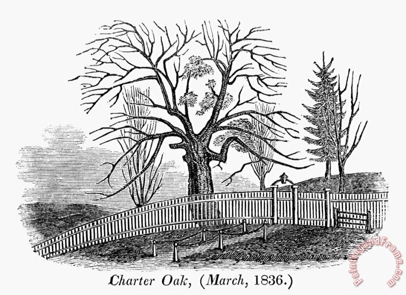 Others Hartford: Charter Oak Art Print