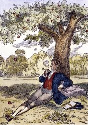 Others Isaac Newton And The Apple