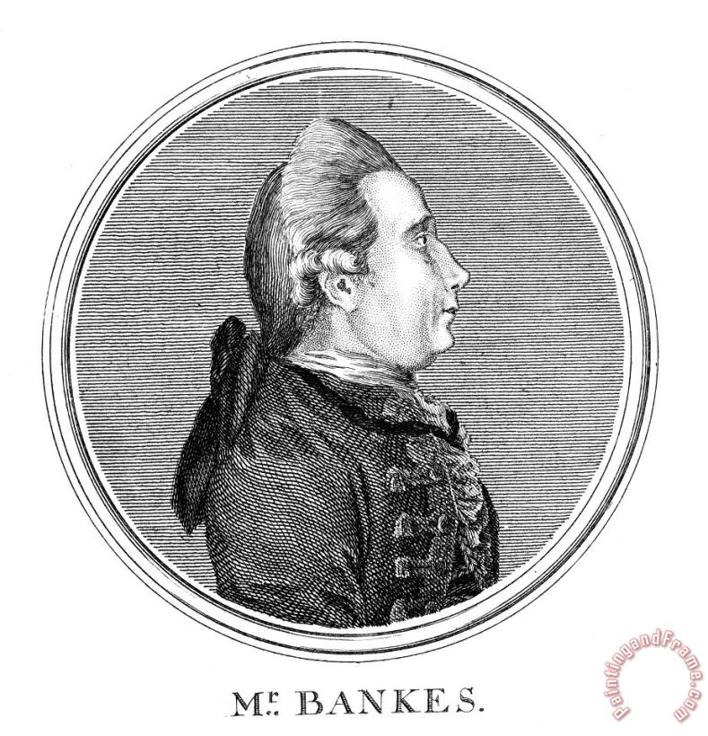 Others Joseph Banks (1743-1820) Art Painting