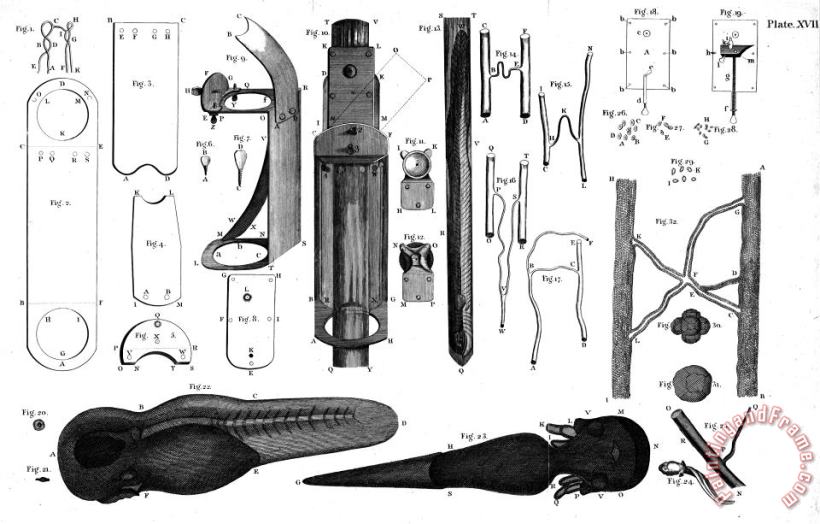 Leeuwenhoek: Microscope painting - Others Leeuwenhoek: Microscope Art Print