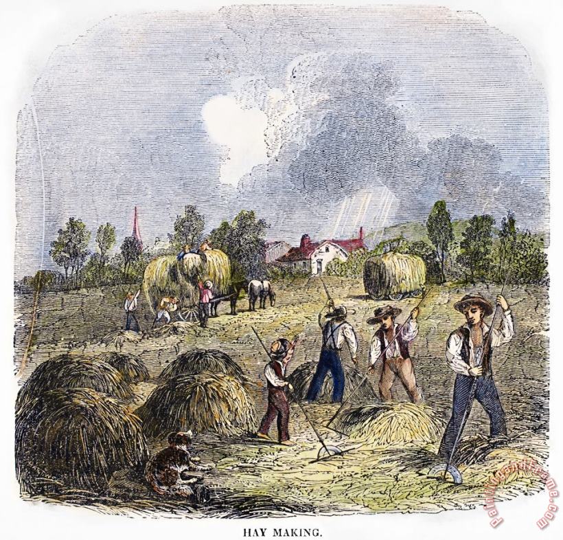 Others MAKING HAY, c1850s Art Print
