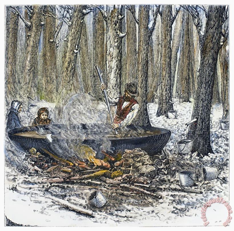 Maple Syrup, 1877 painting - Others Maple Syrup, 1877 Art Print