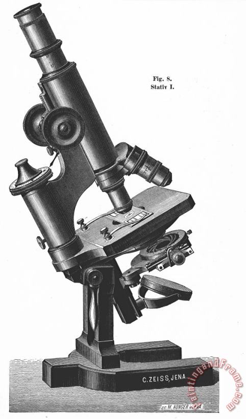 Others Microscope, 1889 Art Painting