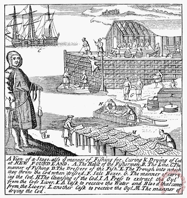 Others Newfoundland Fishery, 1738 Art Print