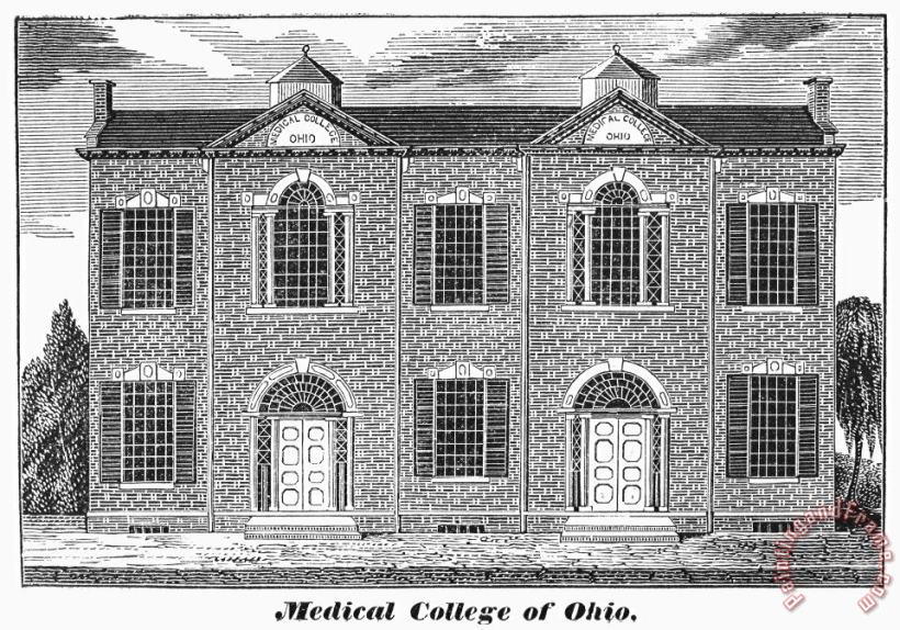 Ohio: Medical College painting - Others Ohio: Medical College Art Print