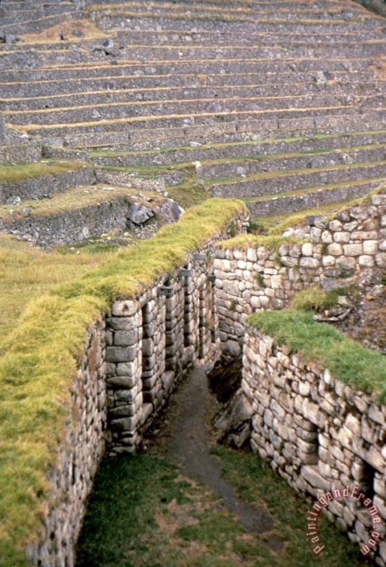 Others Peru: Machu Picchu Art Painting