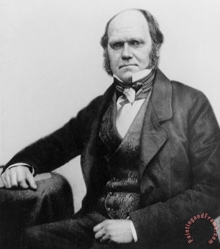 Others Portrait Of Charles Darwin Art Painting