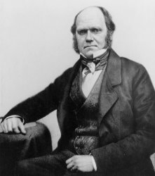 Others Portrait Of Charles Darwin