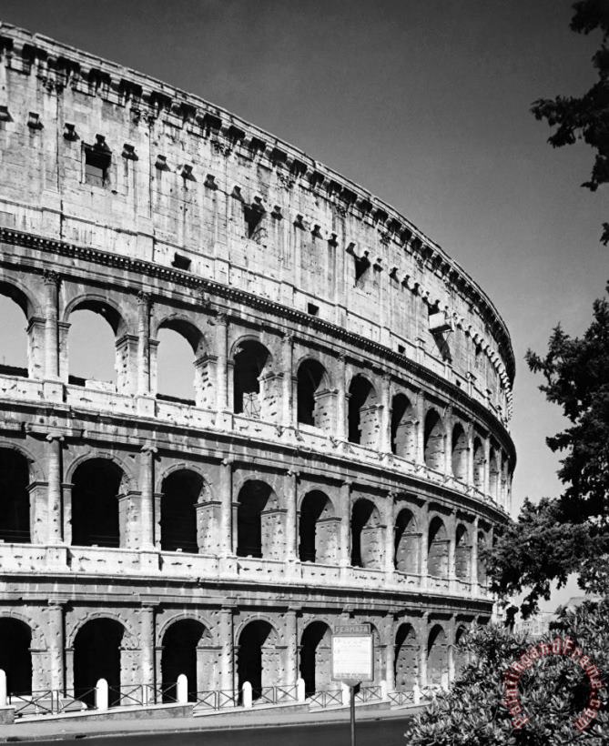 Rome: Colosseum painting - Others Rome: Colosseum Art Print