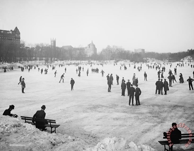 Others Skating In Central Park Art Print