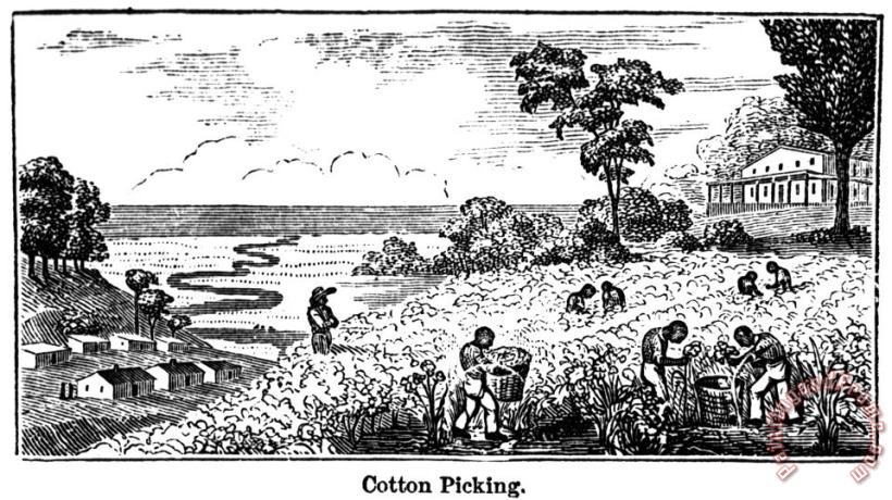 Others Slavery: Plantation Life Art Painting