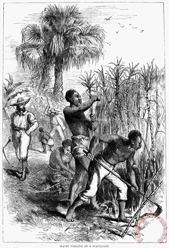 Slavery: Sugar Plantation painting - Others Slavery: Sugar Plantation Art Print