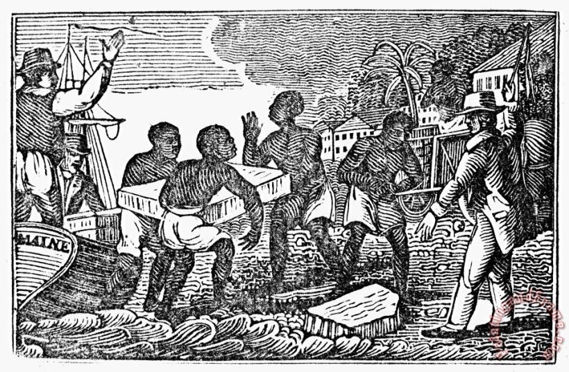 Others Slavery: West Indies Art Painting
