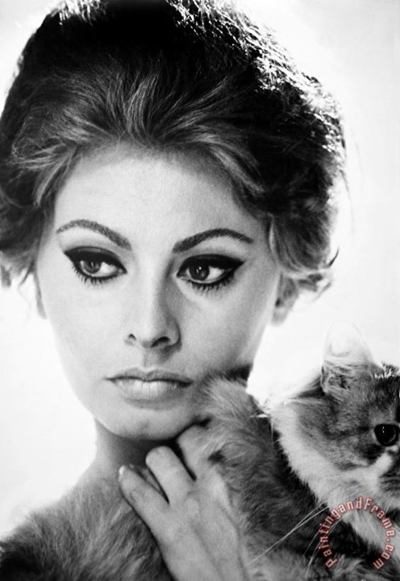 Others Sophia Loren (1934- ) Art Print