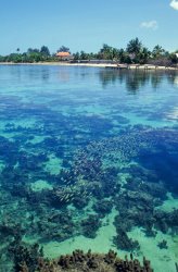 Others Tahiti Papeete