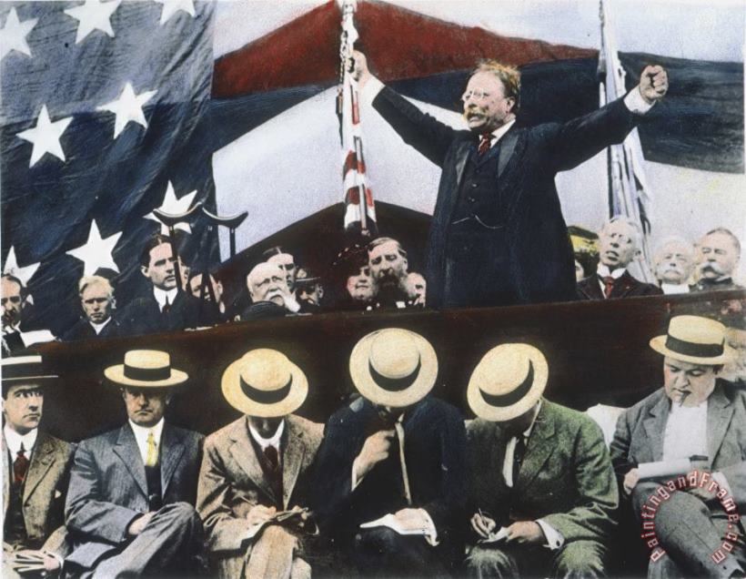 Theodore Roosevelt painting - Others Theodore Roosevelt Art Print