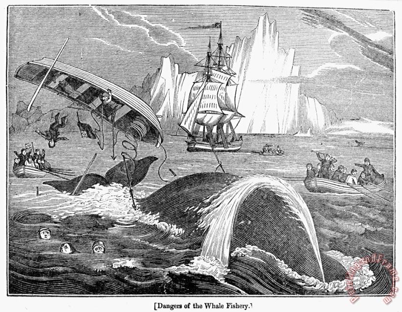 Others Whaling, 1833 Art Print