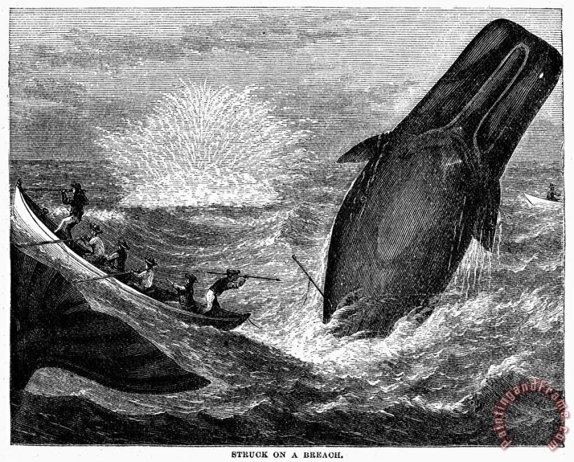Others WHALING, 19th CENTURY Art Painting