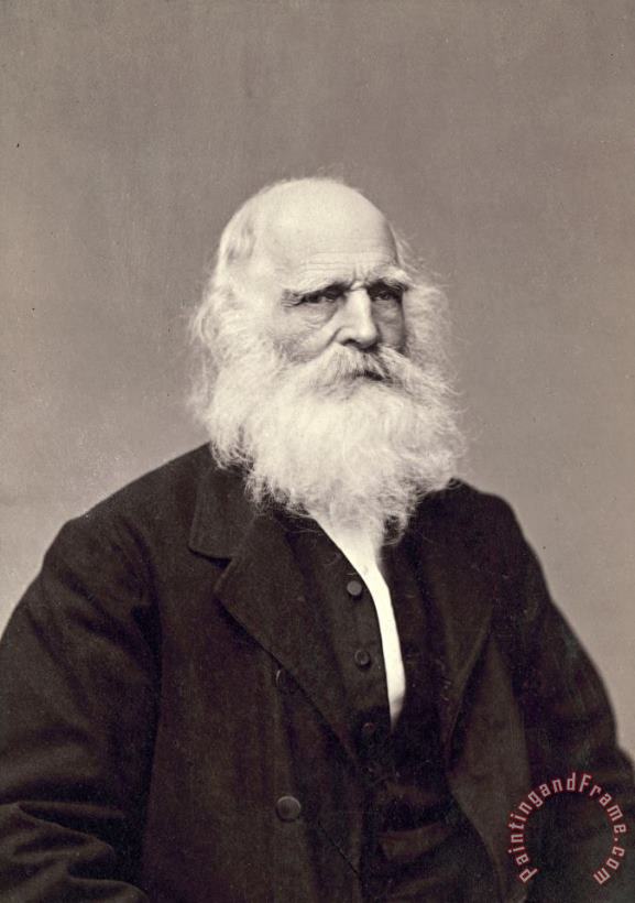 Others William Cullen Bryant Art Painting