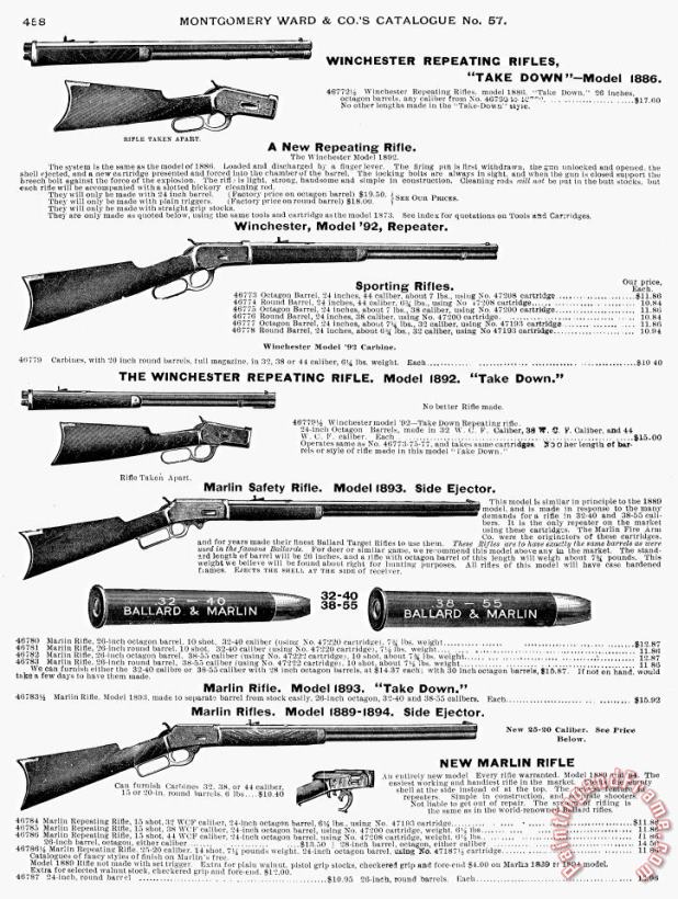 Others Winchester Rifles Art Print