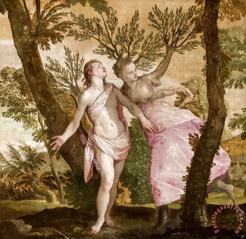 Apollo And Daphne painting - Paolo Caliari Veronese Apollo And Daphne Art Print