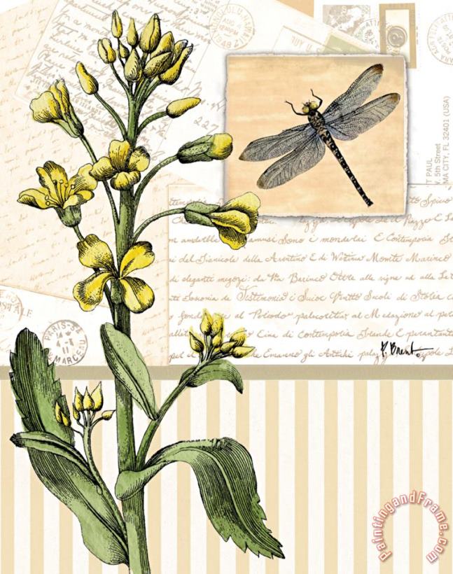 Paul Brent Botanical Collage II Art Print