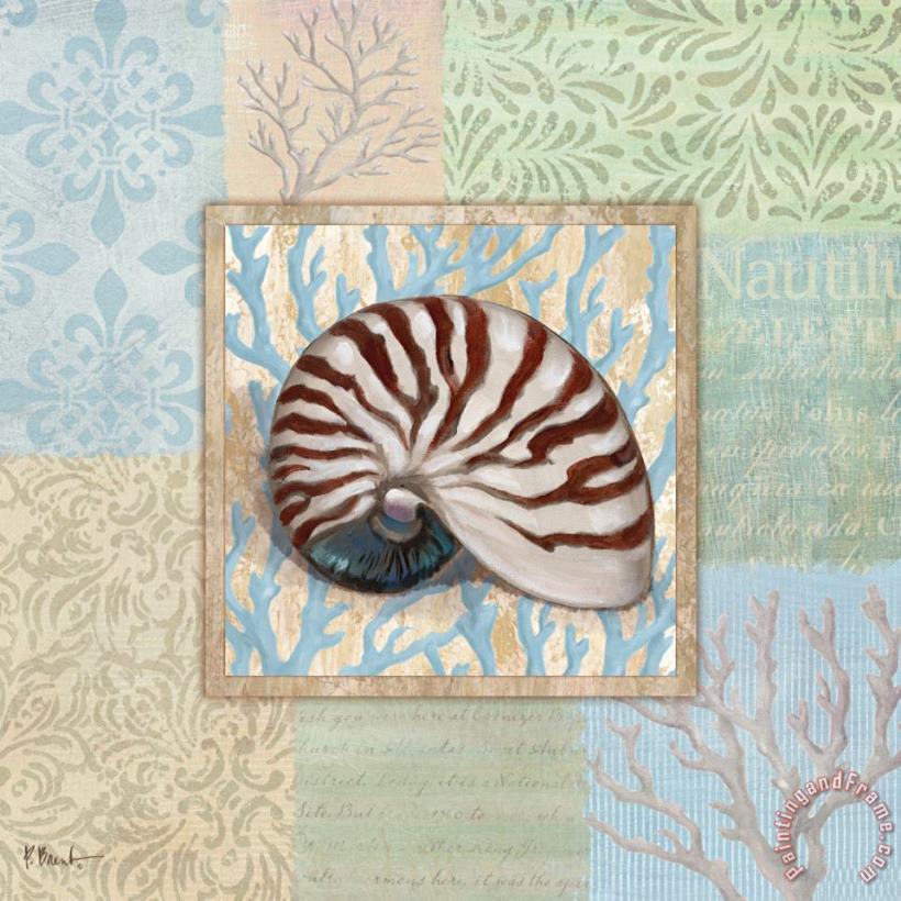Oceanic Shell Collage III painting - Paul Brent Oceanic Shell Collage III Art Print
