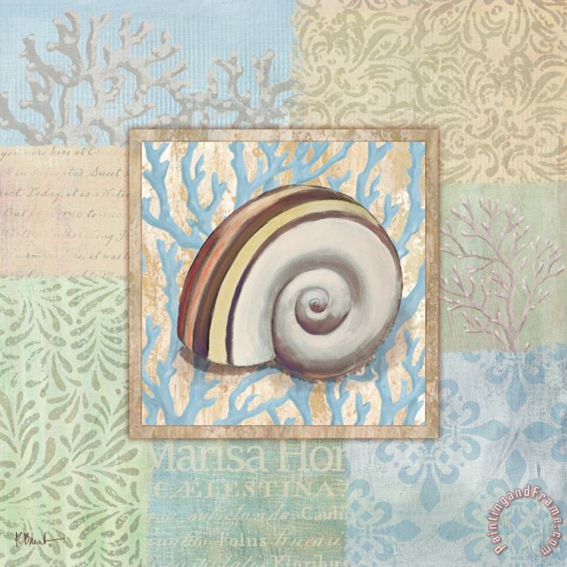 Oceanic Shell Collage Iv painting - Paul Brent Oceanic Shell Collage Iv Art Print